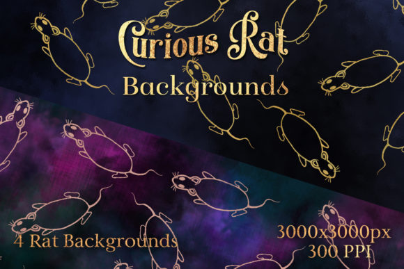 Curious Rat Backgrounds - 4 Image Set: A Detailed Overview and Comparison